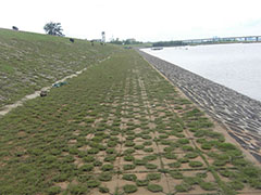 南渡江護(hù)坡磚